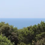 Monpeloso