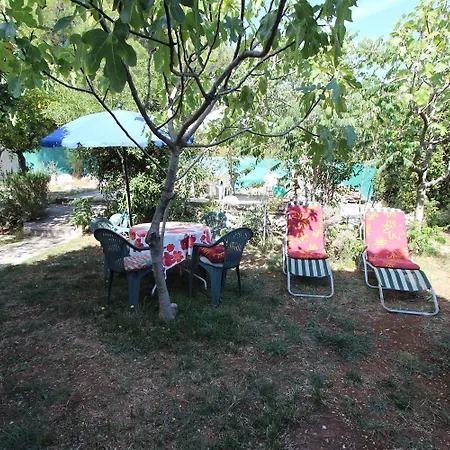 Monpeloso * Ρόβινι