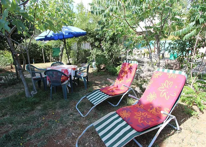 Monpeloso * Ρόβινι