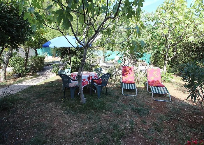 Monpeloso * Ρόβινι